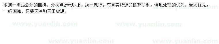 求購16公分國槐