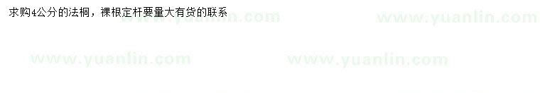 求購4公分法桐