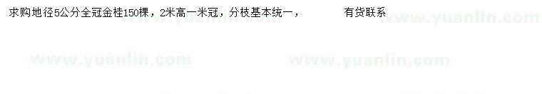 求購地徑5公分金桂