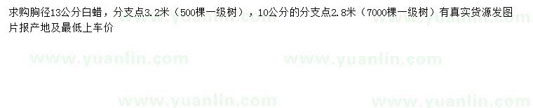 求購胸徑10、13公分白蠟