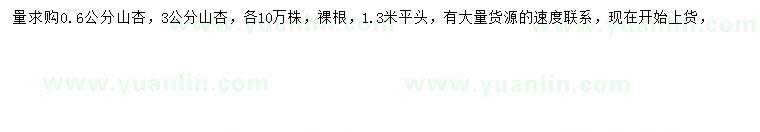 求購(gòu)0.6、3公分山杏