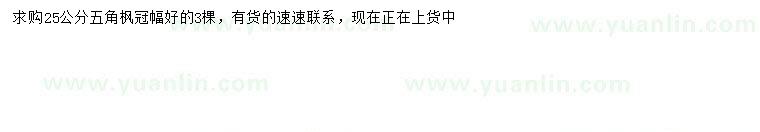 求購(gòu)25公分五角楓