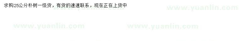 求購(gòu)25公分樸樹(shù)