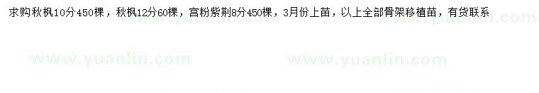 求購10、12公分秋楓、12公分宮粉紫荊