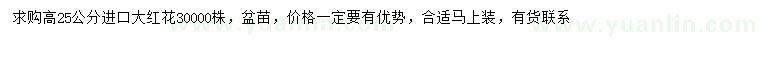 求購高25公分進(jìn)口大紅花