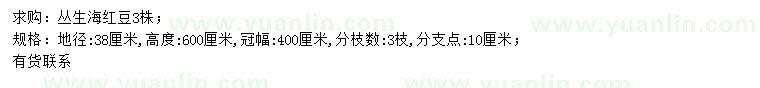 求購地徑38公分叢生海紅豆