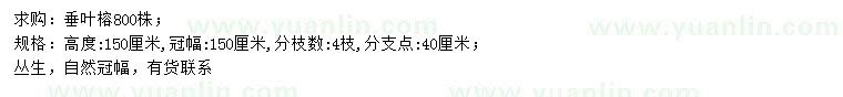 求購冠幅150公分叢生垂葉榕