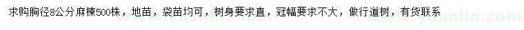 求購胸徑8公分麻楝