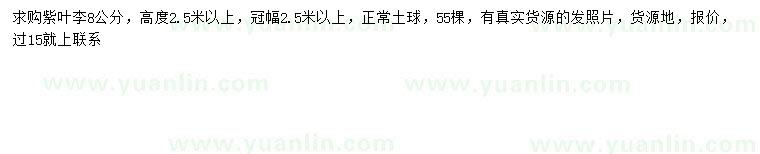 求購8公分紫葉李