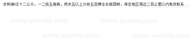 求購胸徑12公分五角楓