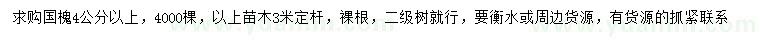 求購4公分以上國槐