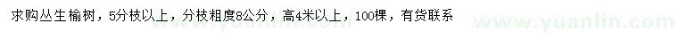 求購5分枝以上叢生榆樹
