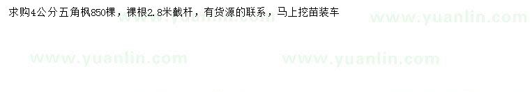 求購(gòu)4公分五角楓