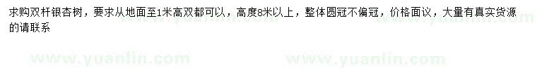 求購高8米以上銀杏