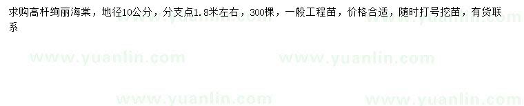 求購(gòu)地徑10公分高桿絢麗海棠
