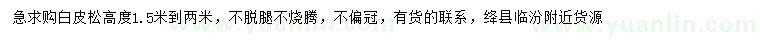求購(gòu)高1.5-2米白皮松