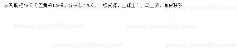 求購胸徑16公分五角楓