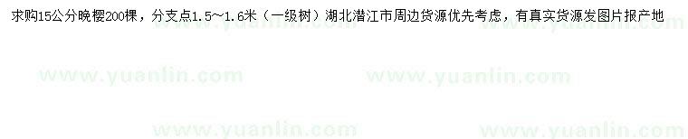 求購15公分晚櫻