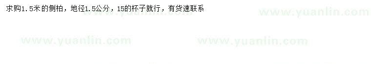 求購1.5米側(cè)柏
