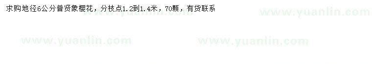 求購地徑6公分普賢象櫻