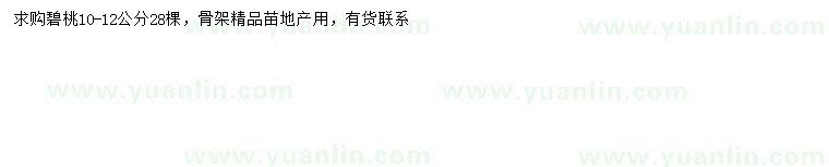 求購10-12公分碧桃