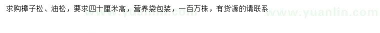 求購(gòu)高40公分樟子松、油松