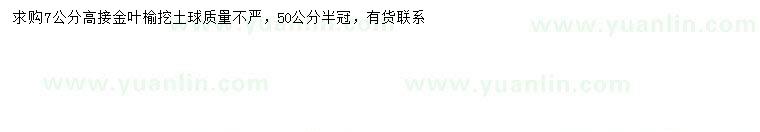 求購7公分高接金葉榆