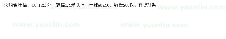 求購10-12公分金葉榆