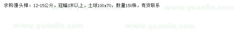 求購12-15公分饅頭柳