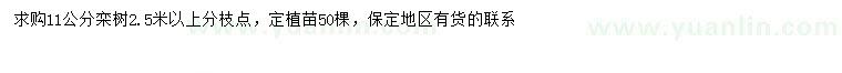 求購11公分欒樹