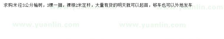 求購米徑3公分榆樹