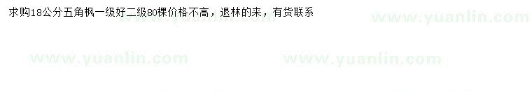 求購18公分五角楓