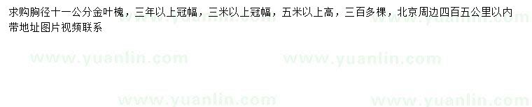 求購(gòu)胸徑11公分金葉槐