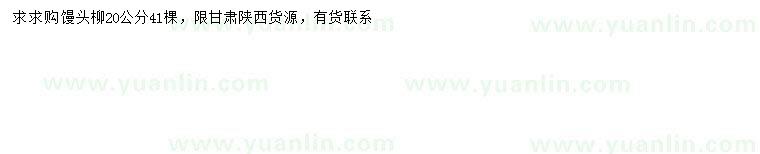 求購(gòu)20公分饅頭柳