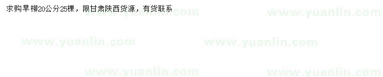 求購20公分旱柳