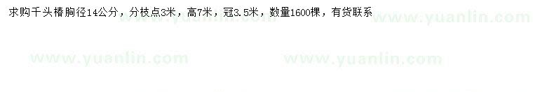 求購胸徑14公分千頭椿