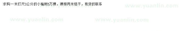 求購(gòu)1米量3公分榆樹(shù)