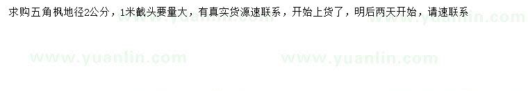 求購地徑2公分五角楓