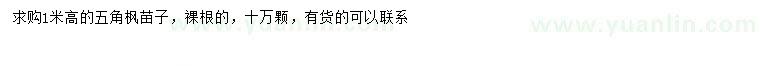 求購高1米五角楓