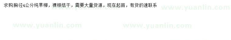 求購胸徑4公分旱柳