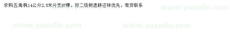 求購(gòu)14公分五角楓