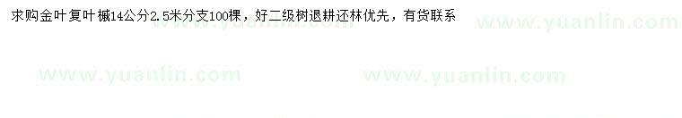 求購14公分金葉復(fù)葉槭