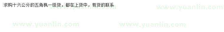求購(gòu)16公分五角楓