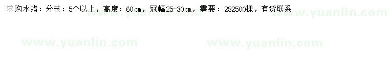 求購高60公分水蠟