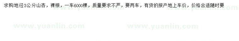 求購3公分山杏