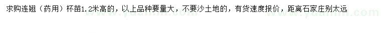 求購高1.2米連翹