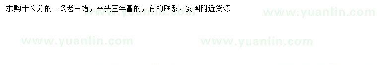 求購10公分老白蠟