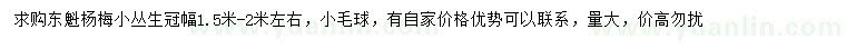 求購冠幅1.5米-2米左右叢生東魁楊梅