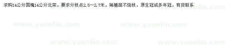 求購14公分國槐、北欒