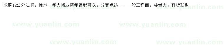 求購12公分法桐